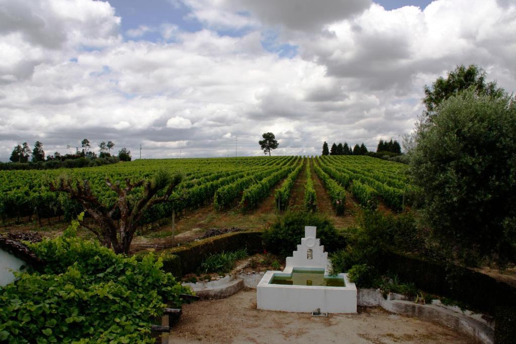 Quinta Da Fata Villa Нелас Екстериор снимка